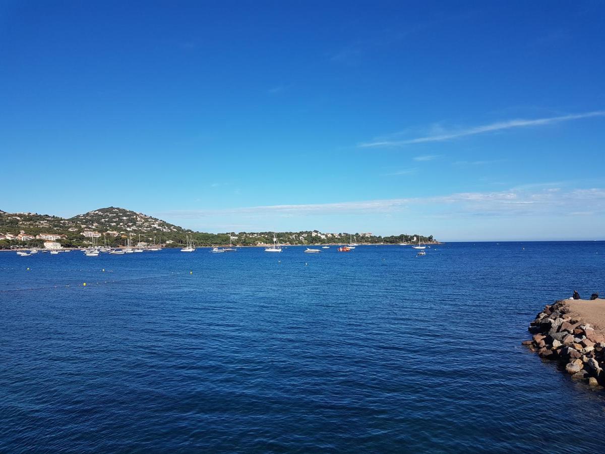 Grand T3 - Terrasse Les Pieds Dans L'Eau - Climatisation Leilighet Saint-Raphaël Eksteriør bilde