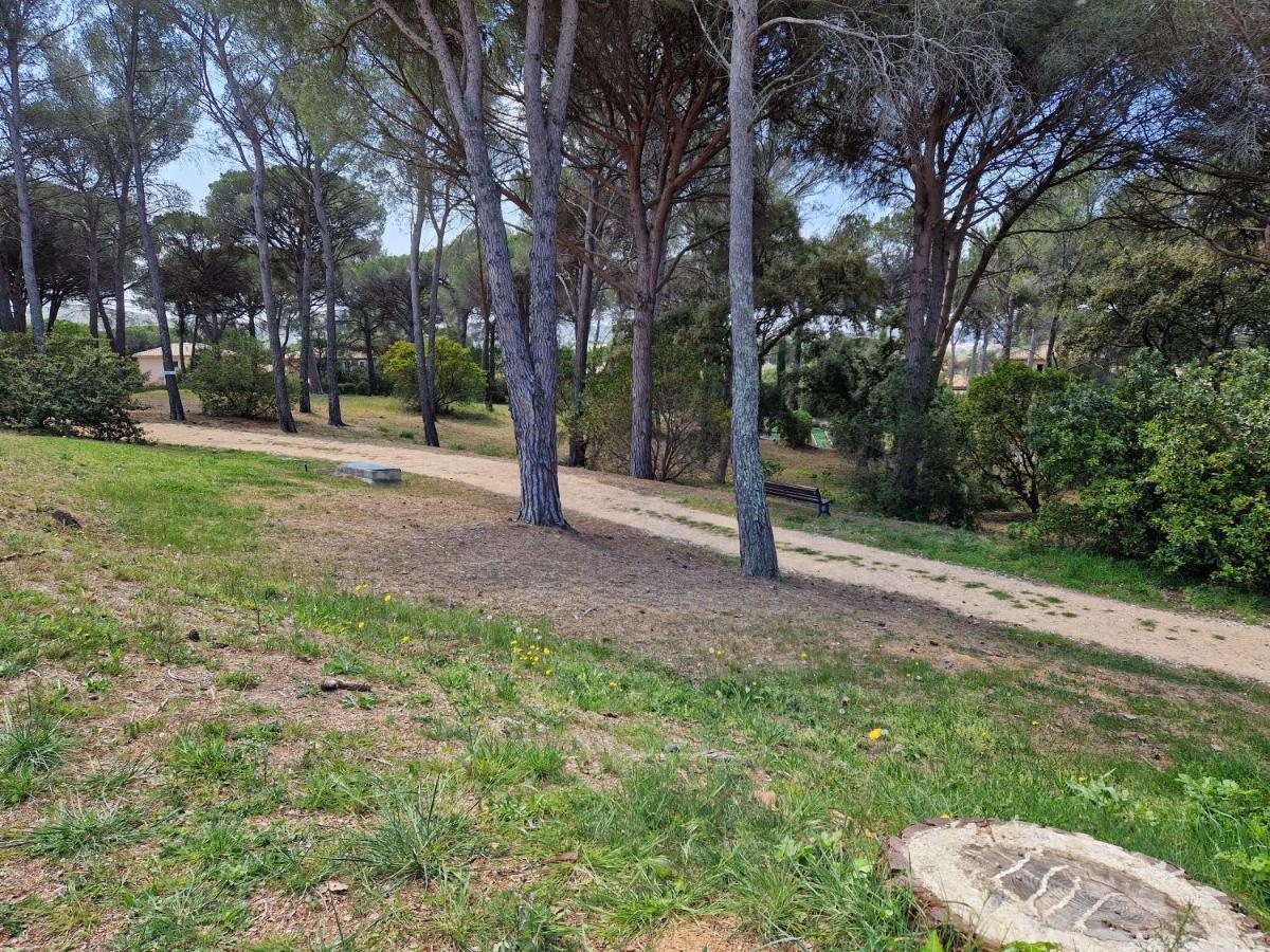Grand T3 - Terrasse Les Pieds Dans L'Eau - Climatisation Leilighet Saint-Raphaël Eksteriør bilde